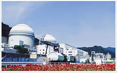 高浜発電所 高浜発電所