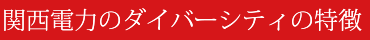 関西電力のダイバーシティの特徴