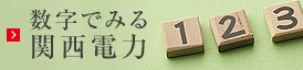 数字でみる関西電力
