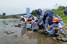 稚鮎放流活動(岐阜県美濃加茂市)