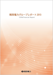 関西電力グループレポート2013