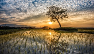 明日香村