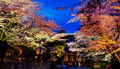 三井寺（園城寺）