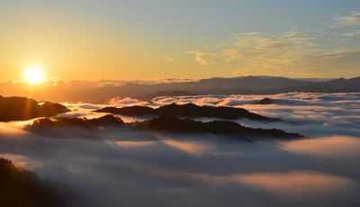 野迫川村の雲海