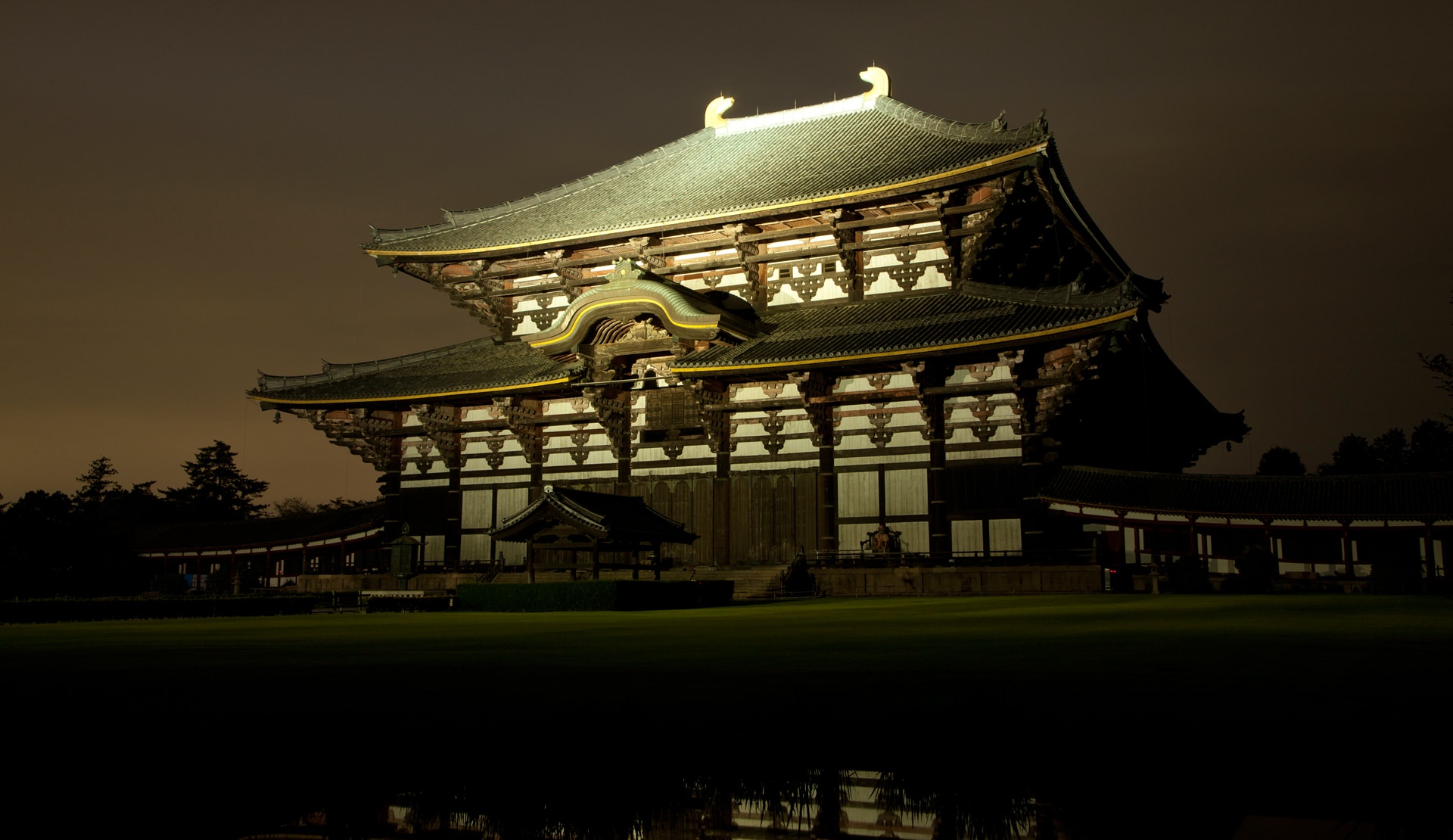 東大寺ライトアップ 奈良県 の紹介 関西電力