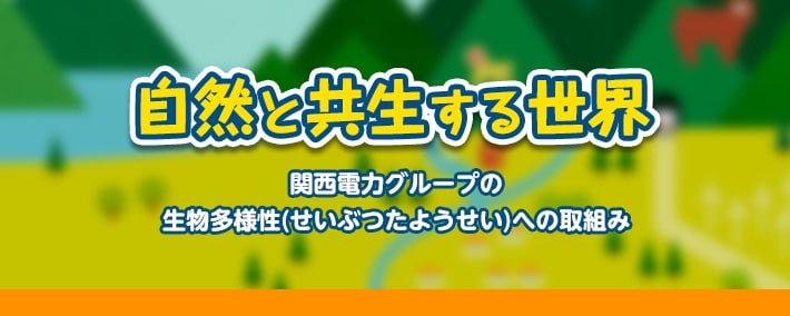 自然と共生する世界 関西電力グループの生物多様性（せいぶつたようせい）への取組み