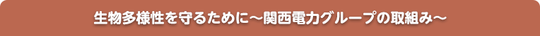 生物多様性を守るために～関西電力グループの取組み～