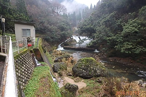 発電所に作られた魚道