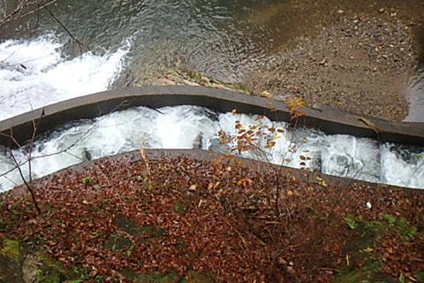 魚道を上から見たところ