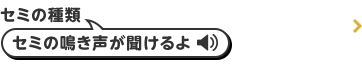 セミの種類 セミの鳴き声が聞けるよ