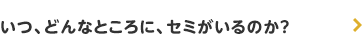 いつ、どんなところに、セミがいるのか？