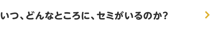 いつ、どんなところに、セミがいるのか？