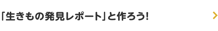 「生きもの発見レポート」を作ろう！