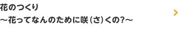 花のつくり ～花ってなんのために咲（さ）くの～