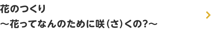 花のつくり ～花ってなんのために咲（さ）くの～