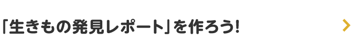 「生きもの発見レポート」を作ろう！