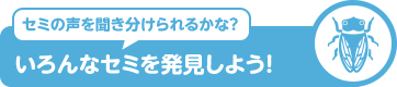 セミの声を聞き分けられるかな？ いろんなセミを発見しよう！