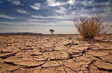 アフリカ：異常少雨による大旱ばつ