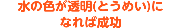 水の色が透明(とうめい)になれば成功!