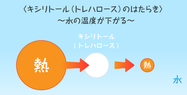 <キシリトール（トレハロース）のはたらき> ～水の温度が下がる～ 熱 キシリトール（トレハロース） 熱 水