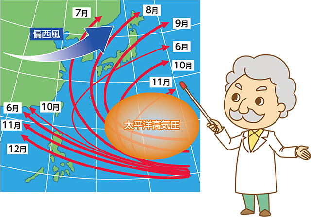 台風のうまれるしくみ 教えて かんでん 関西電力