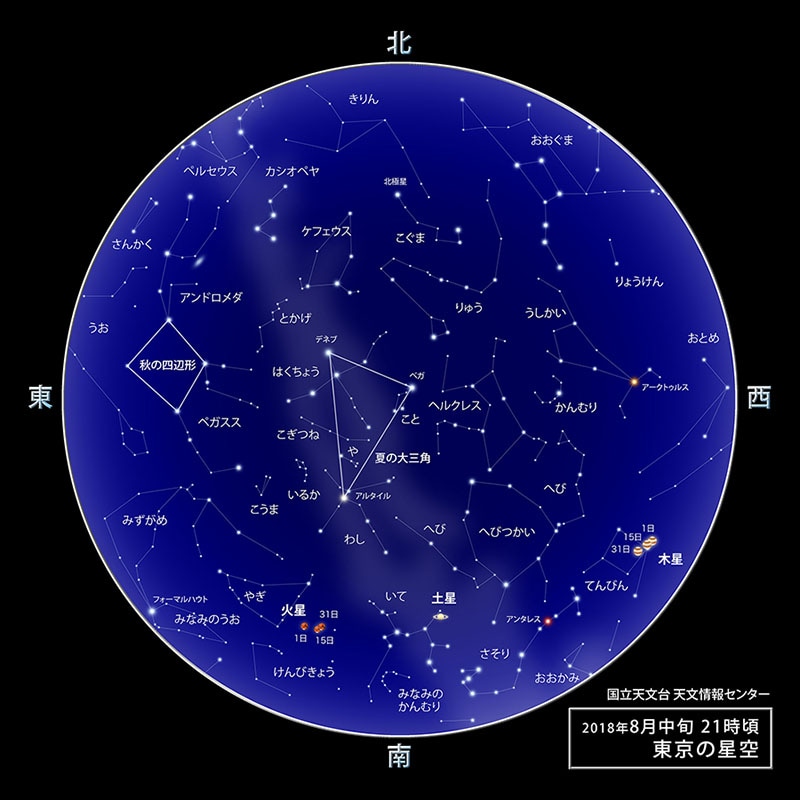 星座 それは人間が夜空に描いた夢 ペルセウス座流星群 教えて かんでん 関西電力