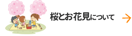 桜とお花見について