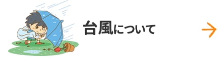 台風について