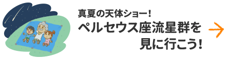 真夏の天体ショー！ペルセウス座流星群を見に行こう！