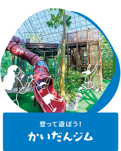 登って遊ぼう!かいだんジム