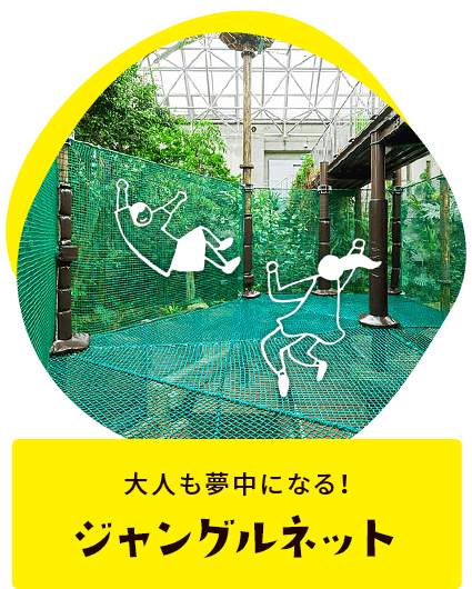 大人も夢中になる!ジャングルネット