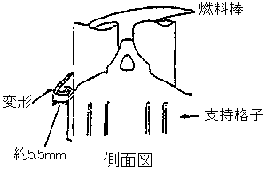 側面図