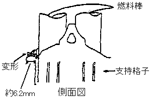 側面図