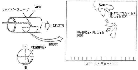 漏えい細管内面調査結果