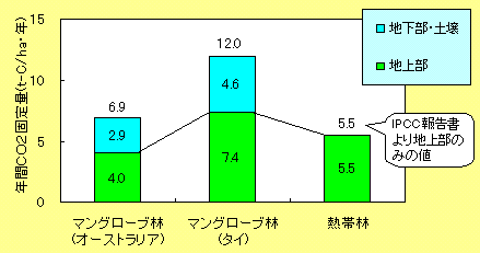 マングローブ林と熱帯林の二酸化炭素固定能力の比較