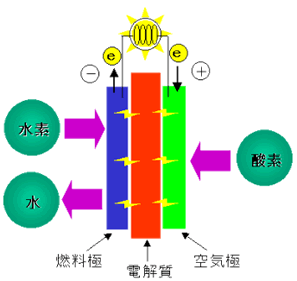 プレスリリース