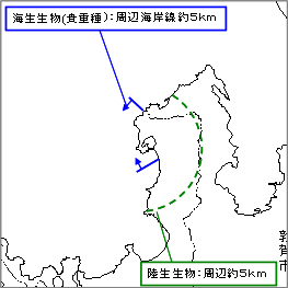 動植物調査の概要