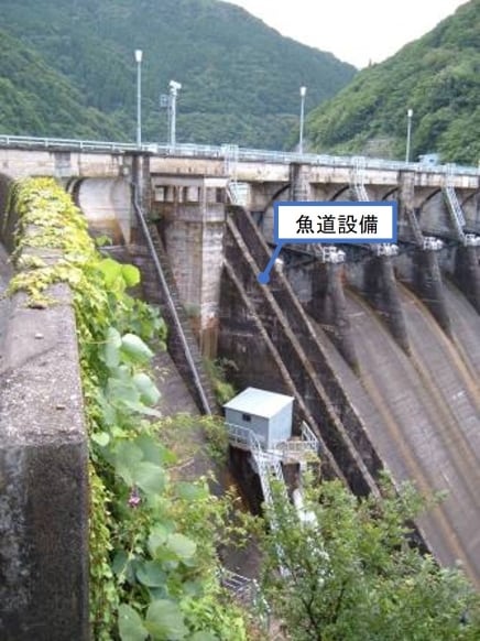 魚道設備