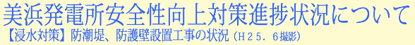 美浜発電所安全性向上対策進捗状況について【浸水対策】防潮堤、防護壁設置工事の状況(H25.6撮影)