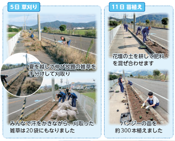花壇の整備