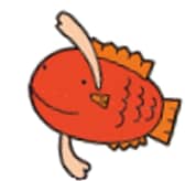 魚
