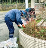 雑草を手分けして刈り取り