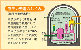 原子力発電のしくみ：（加圧水型軽水炉）原子炉の水（冷却材）を高温高圧の熱湯にして、蒸気発生器に送り、そこで原子炉の水とは別の水を蒸気にし、その蒸気でタービンをまわし、電気を起こします。