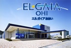 エルガイアおおい