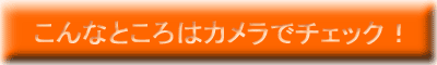 こんなところはカメラでチェック！