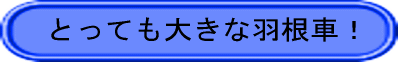 とっても大きな羽根車！