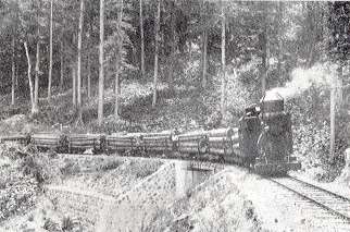 森林鉄道.JPG (19395 バイト)