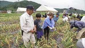 「上志比にんにく生産技術研究会」の活動の様子