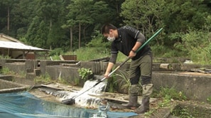 「美浜町地域おこし協力隊」の活動の様子