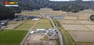 「宮川まちづくり協議会」の活動の様子